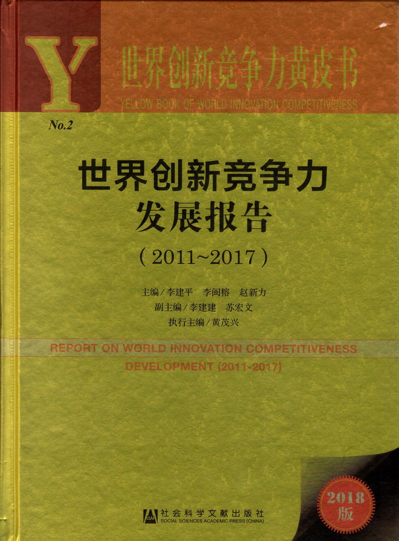 喷b视频世界创新竞争力发展报告（2011-2017）